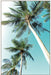 Cape Coral Wall Art
