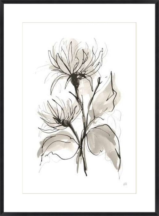 Chrysanthemum II Wall Art