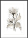 Chrysanthemum II Wall Art
