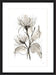 Chrysanthemum II Wall Art