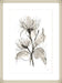 Chrysanthemum II Wall Art