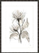 Chrysanthemum II Wall Art
