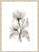 Chrysanthemum II Wall Art