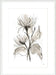 Chrysanthemum II Wall Art