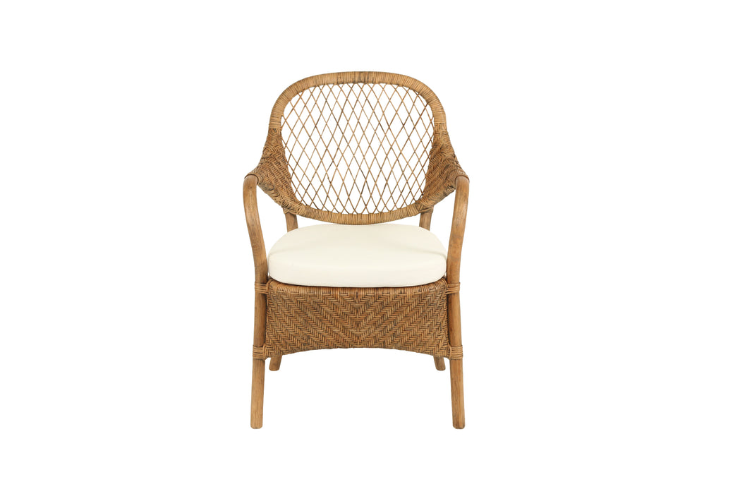 Cove Armchair - Antique Brown Wash - Ar Cov Abw