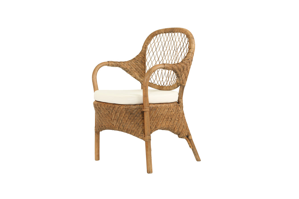 Cove Armchair - Antique Brown Wash - Ar Cov Abw