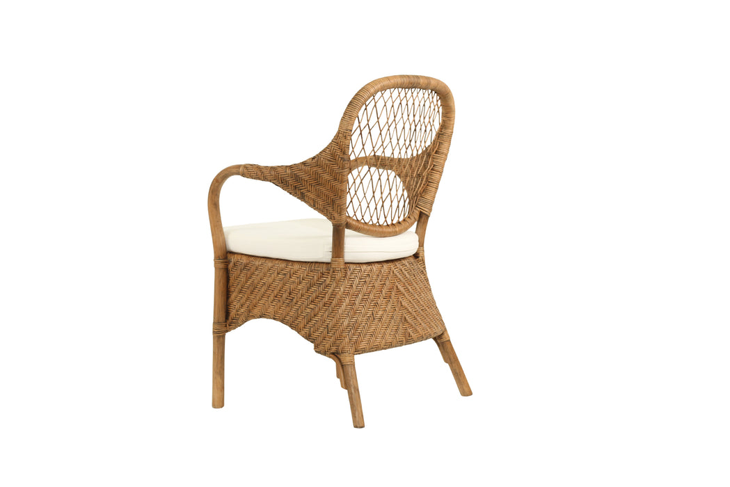 Cove Armchair - Antique Brown Wash - Ar Cov Abw