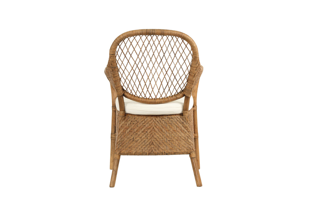 Cove Armchair - Antique Brown Wash - Ar Cov Abw