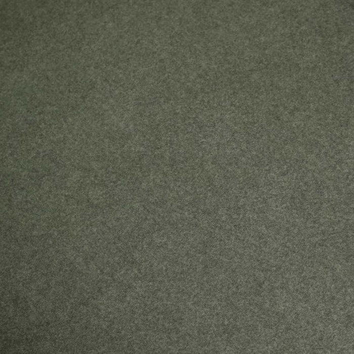 Black Dining Chair - Dark Moss Green (Set of 2)
