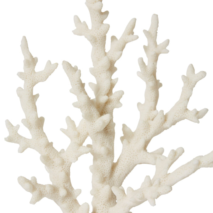 Coral Finger Sculpture - White, 27cm (H)