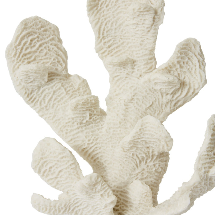 Coral Elkhorn Sculpture - White, 34cm (H)