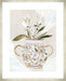 Decorative Botanical II Wall Art