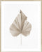 Dried II Wall Art