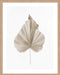 Dried II Wall Art
