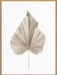 Dried II Wall Art