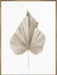 Dried II Wall Art