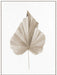 Dried II Wall Art