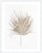 Dried I Wall Art
