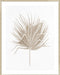 Dried I Wall Art