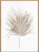 Dried I Wall Art