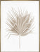 Dried I Wall Art