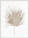 Dried I Wall Art