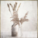 Dried Vases Wall Art