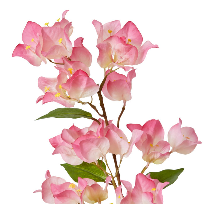 Bougainvillea Spray Pack Of 12 - Soft Pink, 86cm (H)
