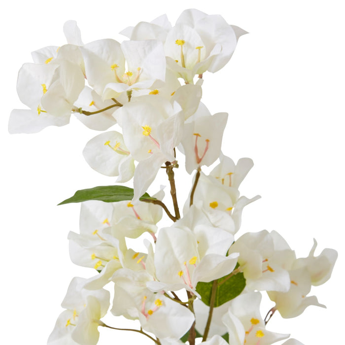 Bougainvillea Spray Pack Of 12 - White, 86cm (H)