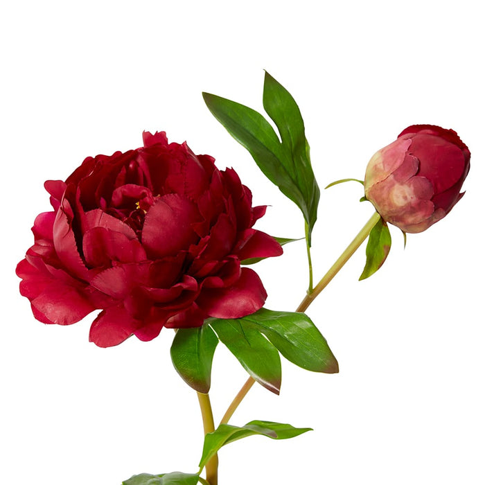 Peony Garden Spray (RT) Pack Of 12 - Burgundy, 62cm (H)