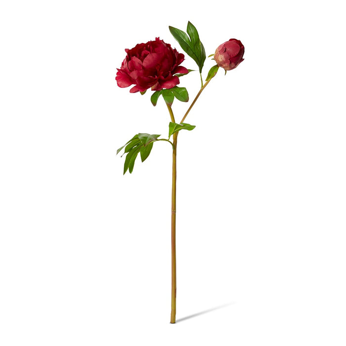 Peony Garden Spray (RT) Pack Of 12 - Burgundy, 62cm (H)