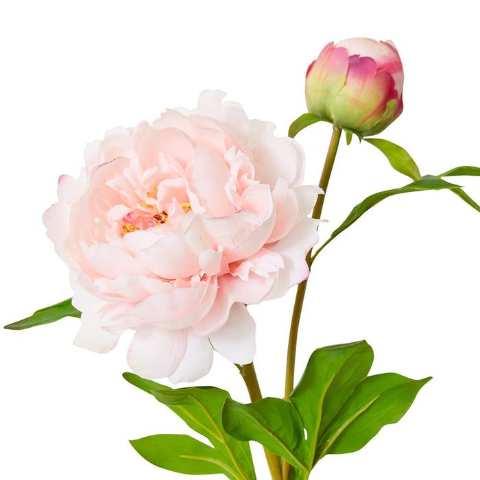 Peony Garden Spray (RT) Pack Of 12 - Pink, 62cm (H)