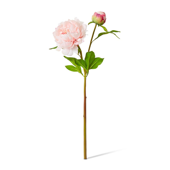 Peony Garden Spray (RT) Pack Of 12 - Pink, 62cm (H)
