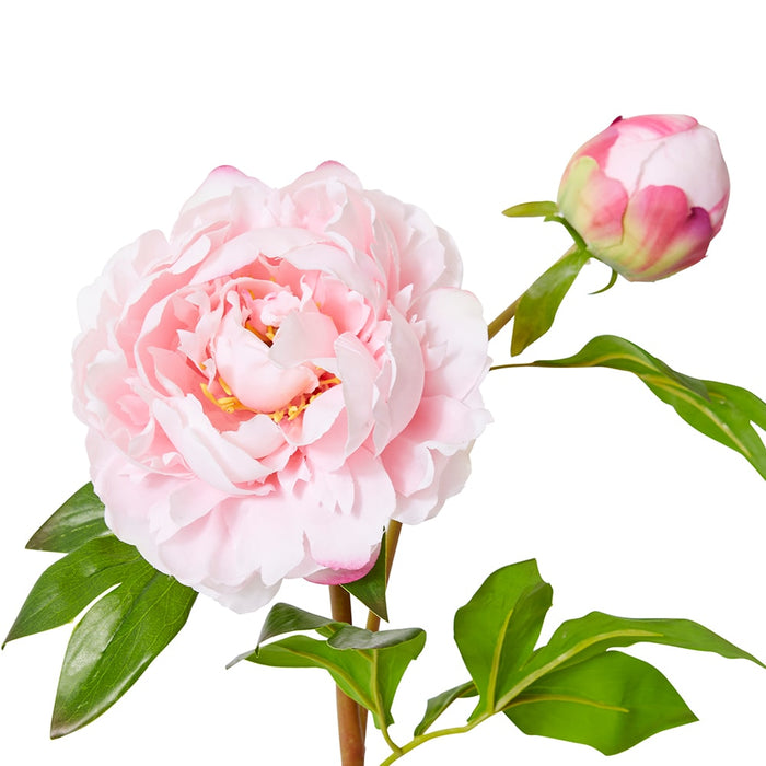 Peony Garden Spray (RT) Pack Of 12 - Soft Pink, 62cm (H)