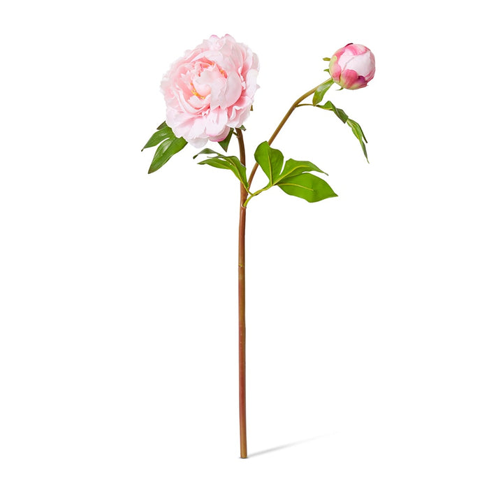 Peony Garden Spray (RT) Pack Of 12 - Soft Pink, 62cm (H)