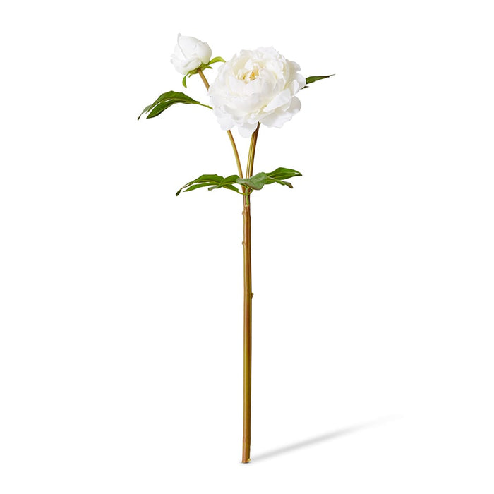 Peony Garden Spray (RT) Pack Of 12 - White, 62cm (H)