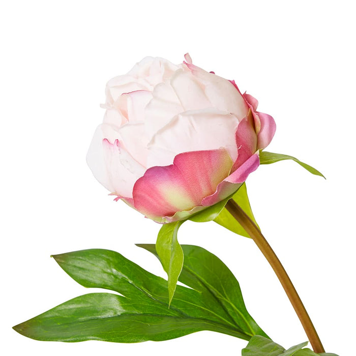 Peony Bud Spray (RT) Pack Of 12 - Pink, 62cm (H)
