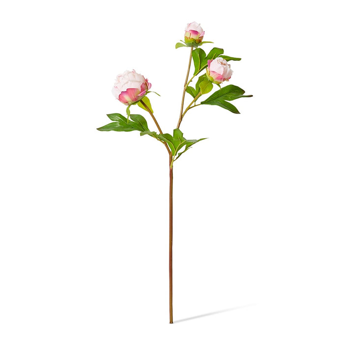 Peony Bud Spray (RT) Pack Of 12 - Pink, 62cm (H)