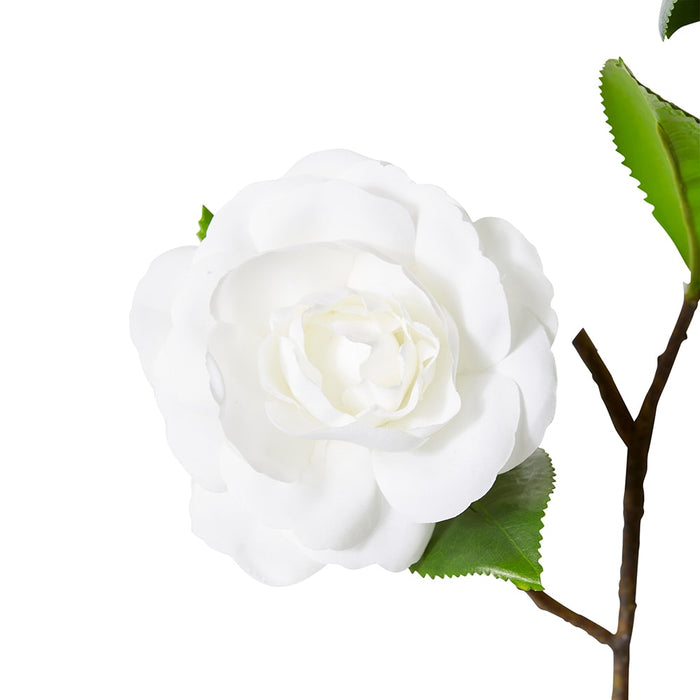 Camellia Spray Pack Of 12 - White/Green, 69cm (H)