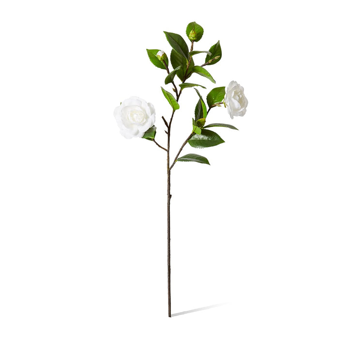 Camellia Spray Pack Of 12 - White/Green, 69cm (H)