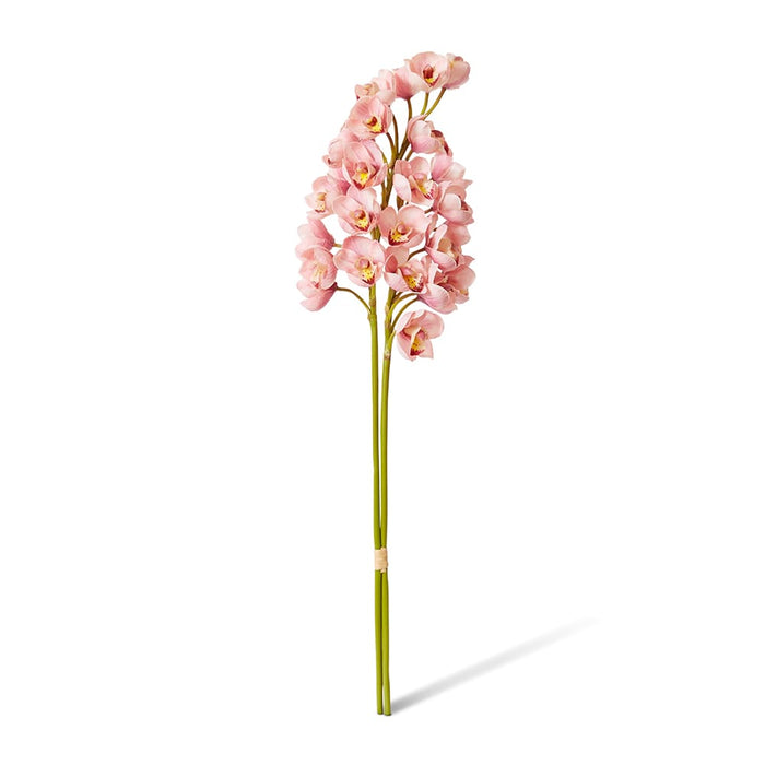 Cymbidium Stem Bundle x 2 Pack of 6 - Pink, 74cm (H)