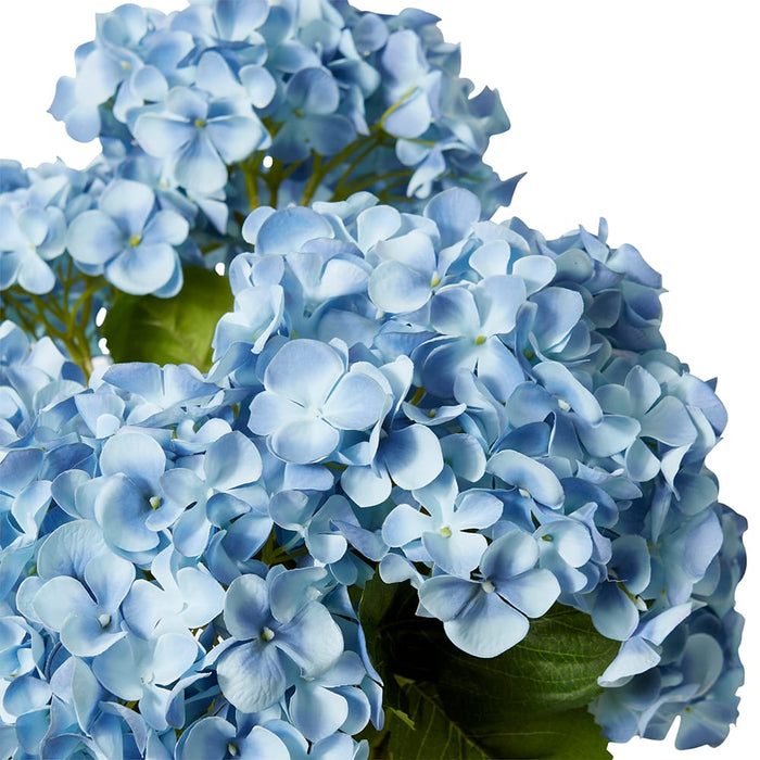 Hydrangea Garden Bush Pack of 6 - Blue, 56cm (H)