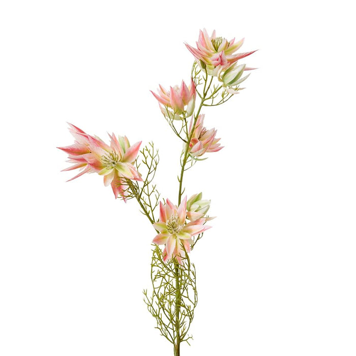 Blushing Bride Spray Pack of 12 - Pink, 68cm (H)