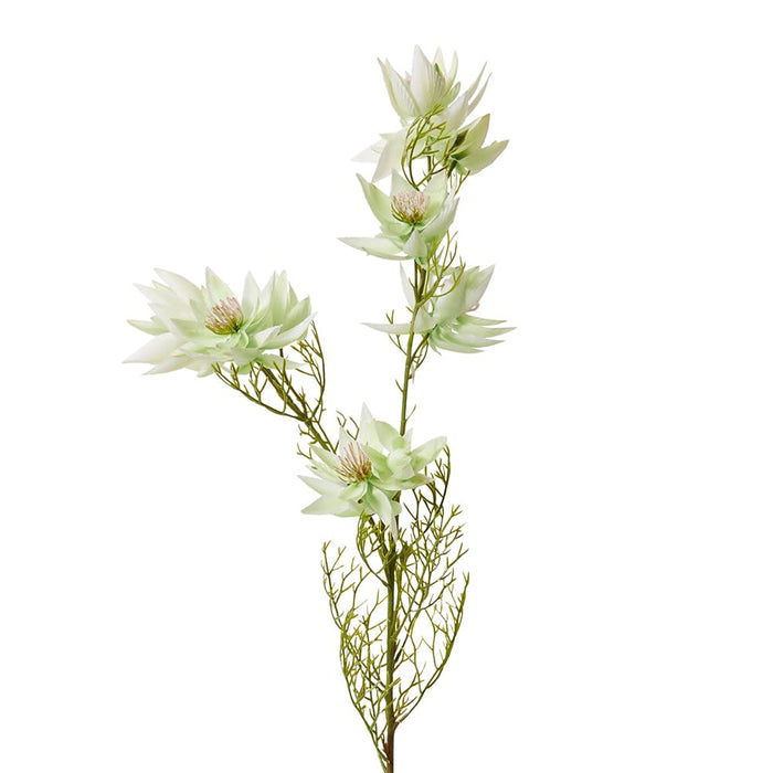 Blushing Bride Spray Pack of 12 - White, 68cm (H)