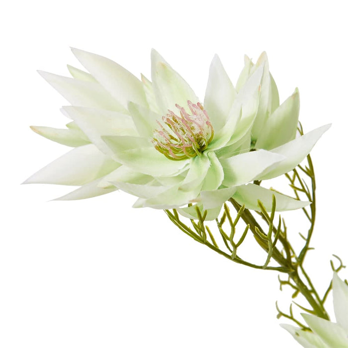 Blushing Bride Spray Pack of 12 - White, 68cm (H)