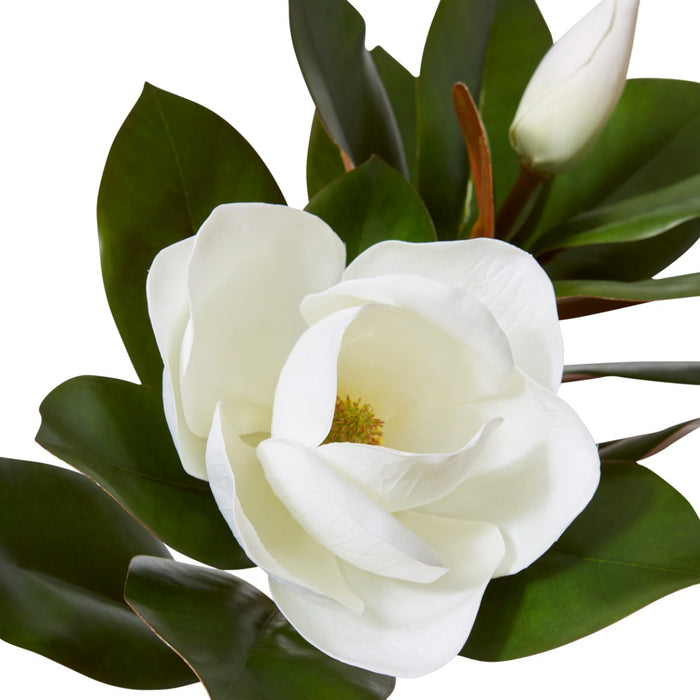 Magnolia Grand Flower With Bud & Leaves Pack Of 12 - White, 76cm (H)