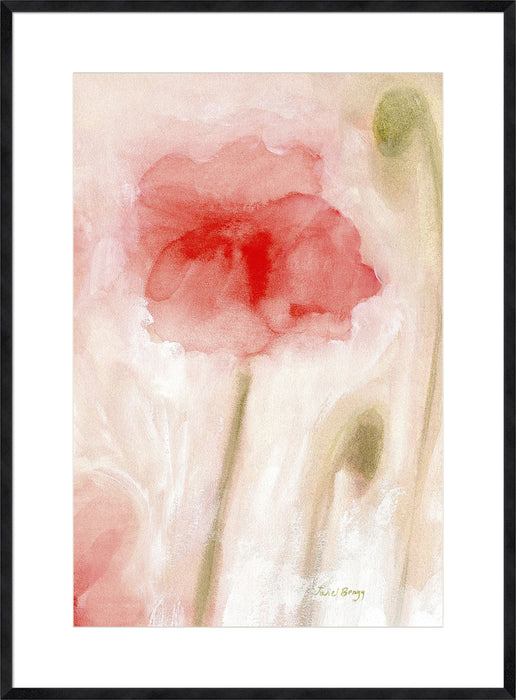 Floral Impression in Coral II Wall Art