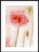 Floral Impression in Coral II Wall Art