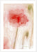 Floral Impression in Coral II Wall Art