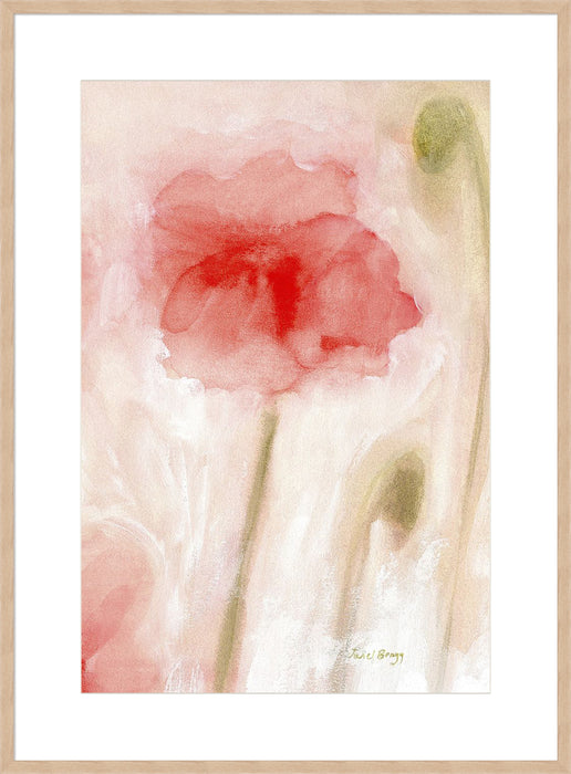 Floral Impression in Coral II Wall Art